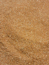 Load image into Gallery viewer, Mary's Lil Lamb